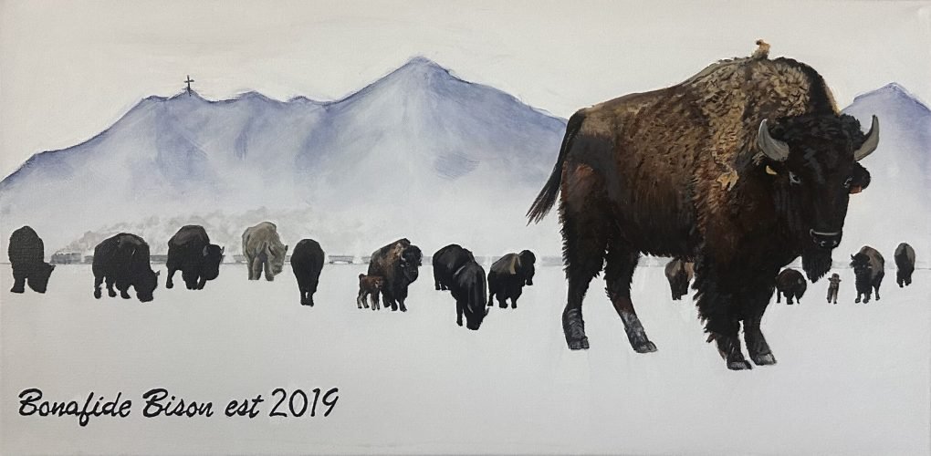 Bonafide Bison